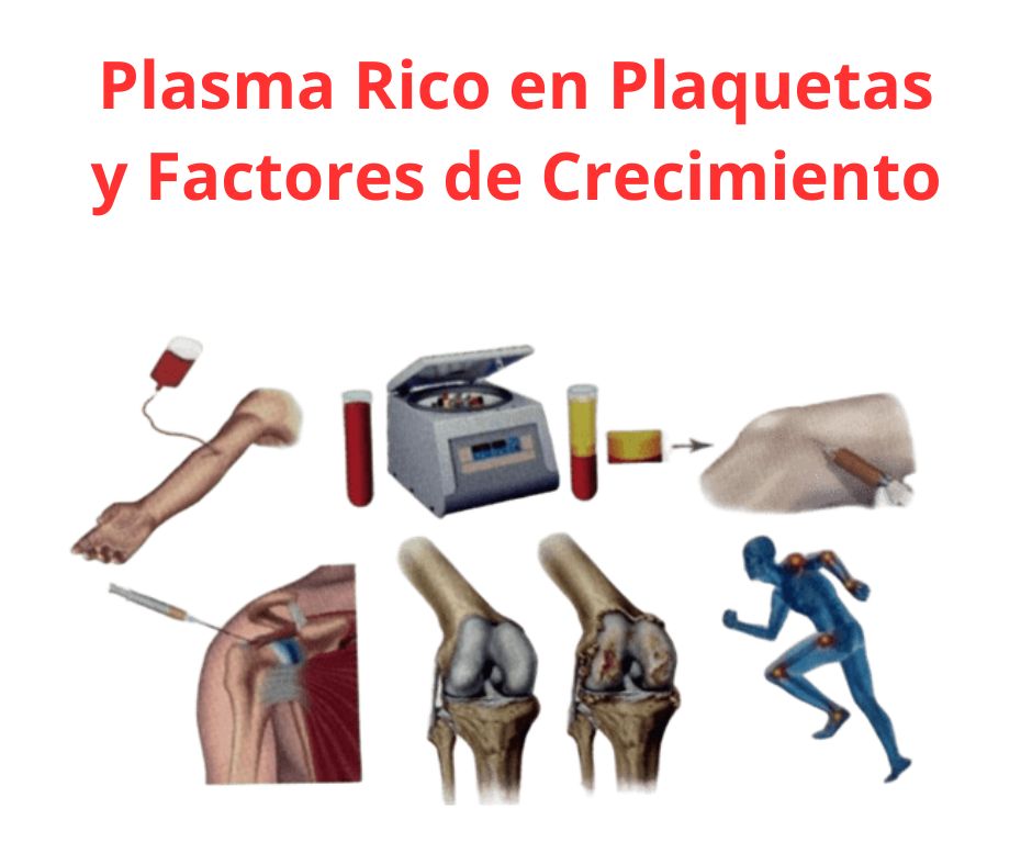 traumatologia